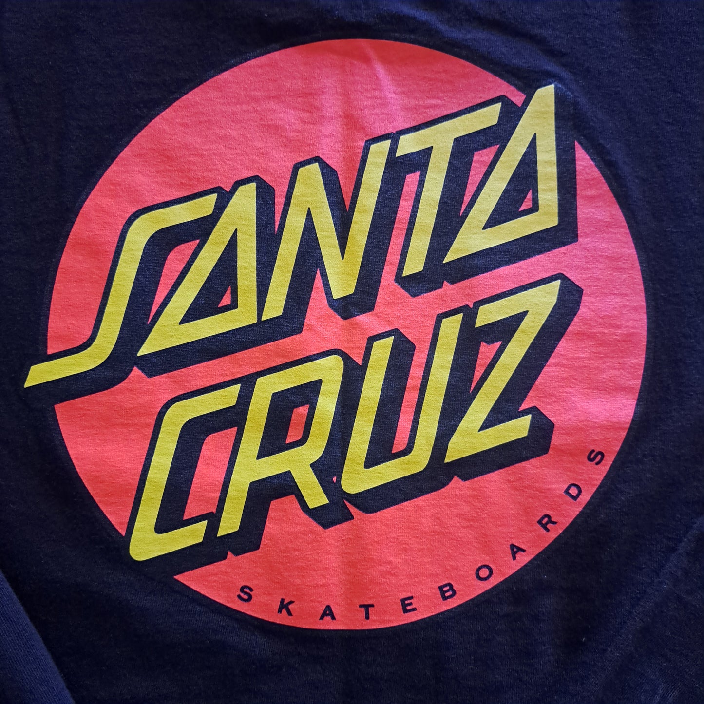 Vintage "Santa Cruz" Skate Company Long Sleeve Graphic T-shirt