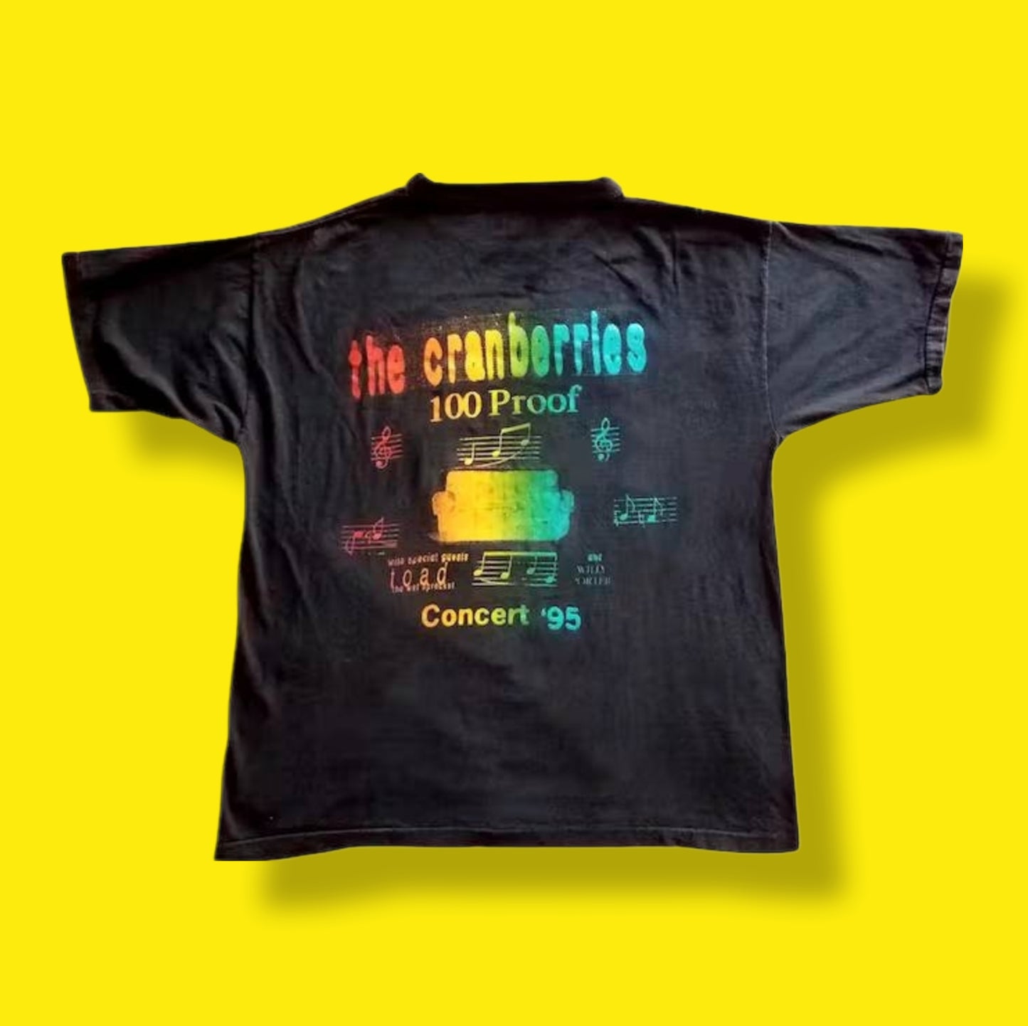 1995 The Cranberries, Toad the Wet Sprocket, Willy Porter Concert T-shirt