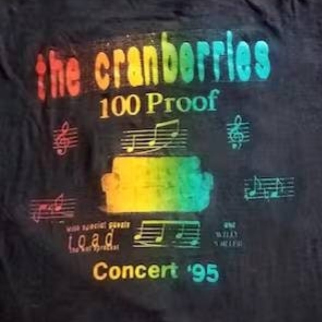 1995 The Cranberries, Toad the Wet Sprocket, Willy Porter Concert T-shirt