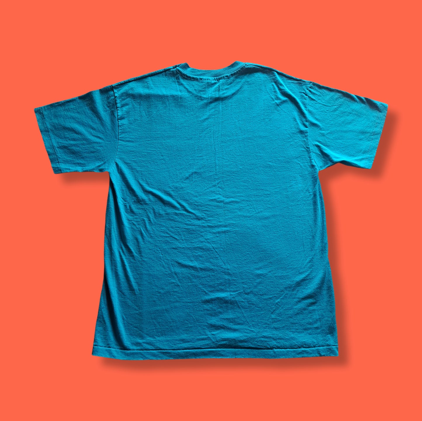 Vintage Teal "End of the Oregon Trail" T-shirt
