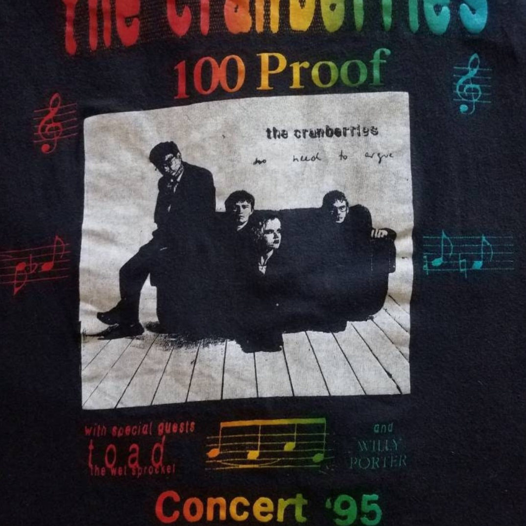 1995 The Cranberries, Toad the Wet Sprocket, Willy Porter Concert T-shirt